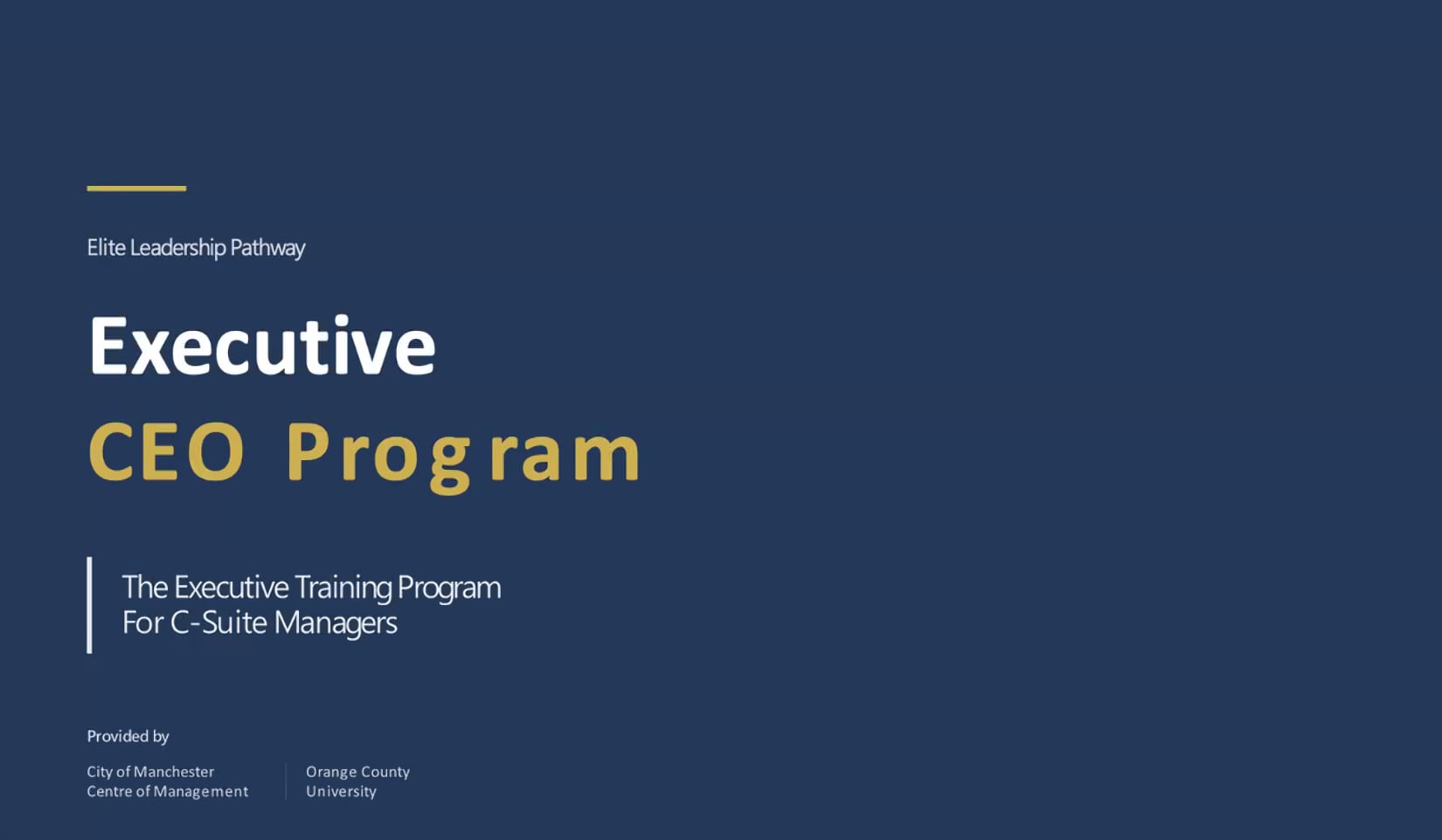 Executive CEO Program overview slide
